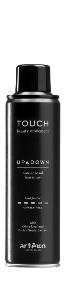 01-024221 TOUCH UP AND DOWN 250ML